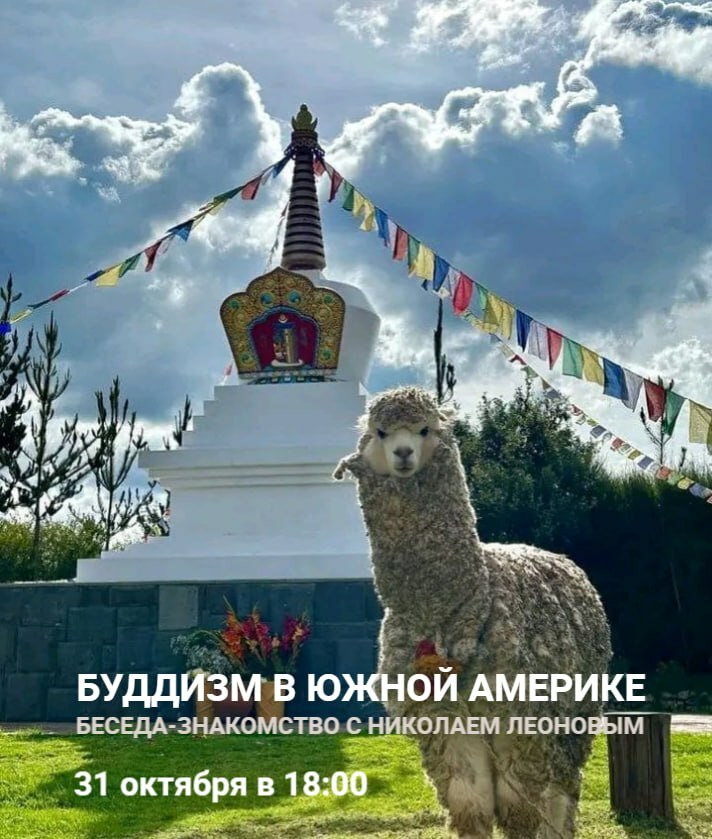 photo_2025-10-27_16-33-37